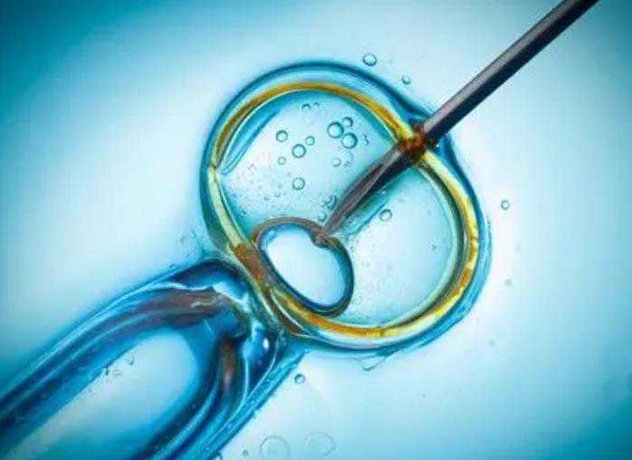 武汉助孕qq群论坛 二。2024年武汉第三代试管医院推荐 ‘三维婴儿照看男女’